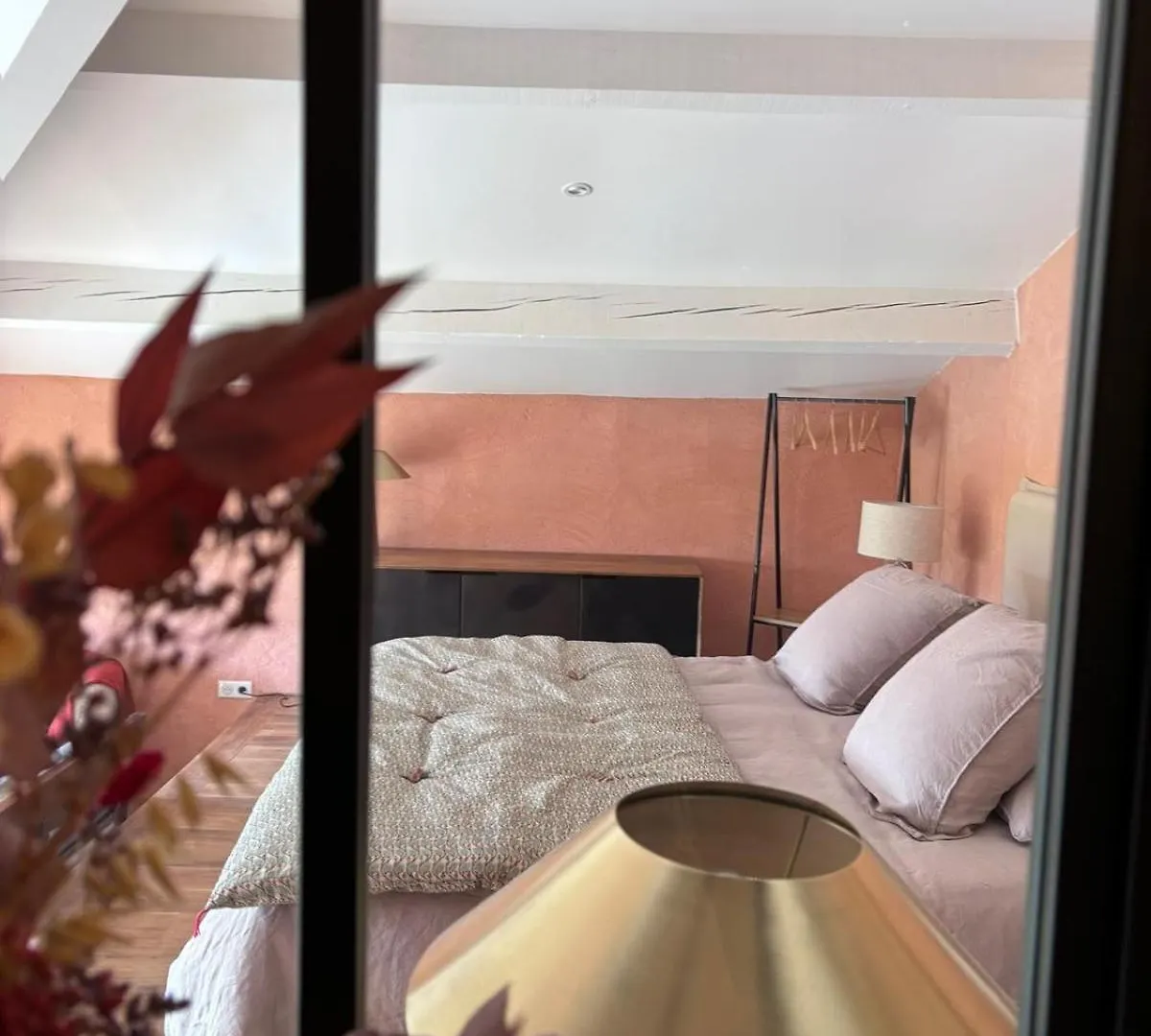 Manoir Du Bouyssou Bed & Breakfast Cintegabelle